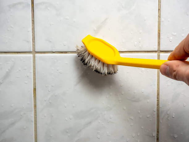 Home Mold Removal in South Lakes, AK