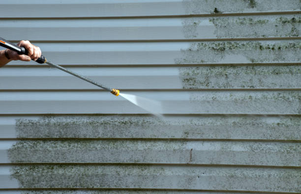 Best Professional Mold Removal  in South Les, AK