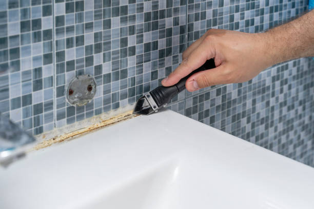 Best Same-Day Mold Removal  in South Les, AK