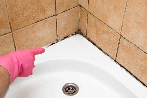 Best Water Damage Restoration  in South Les, AK
